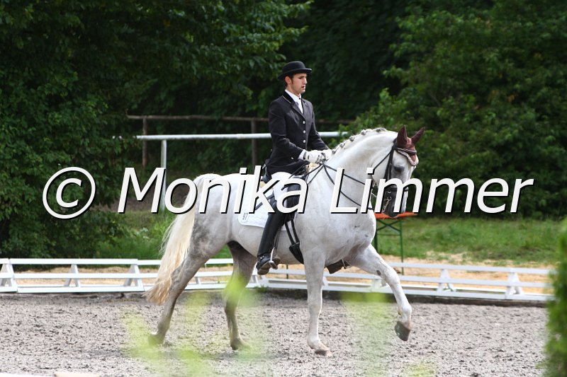 009M3027_Peppers Junior_Dressur Mxx.JPG